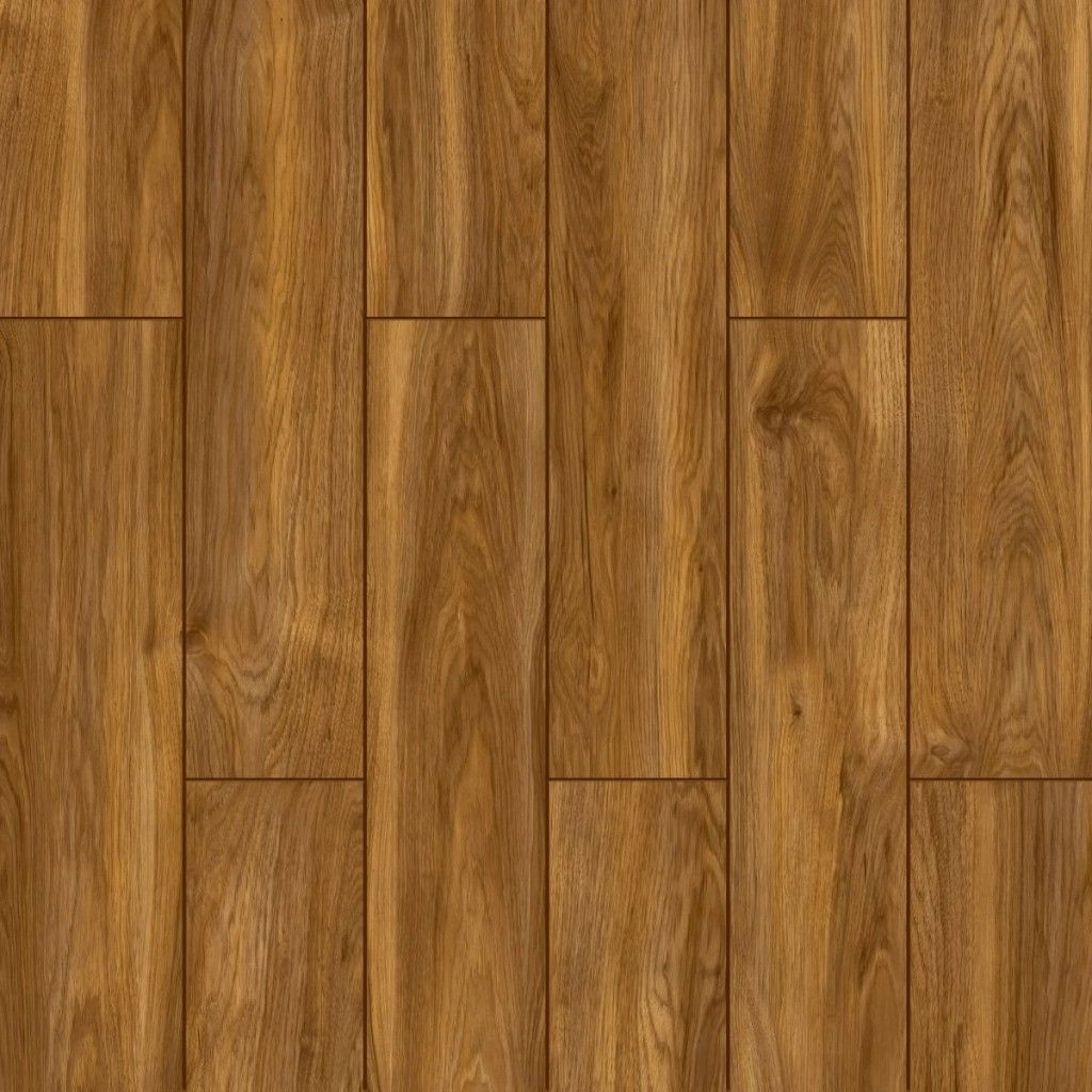 Castledale Elm